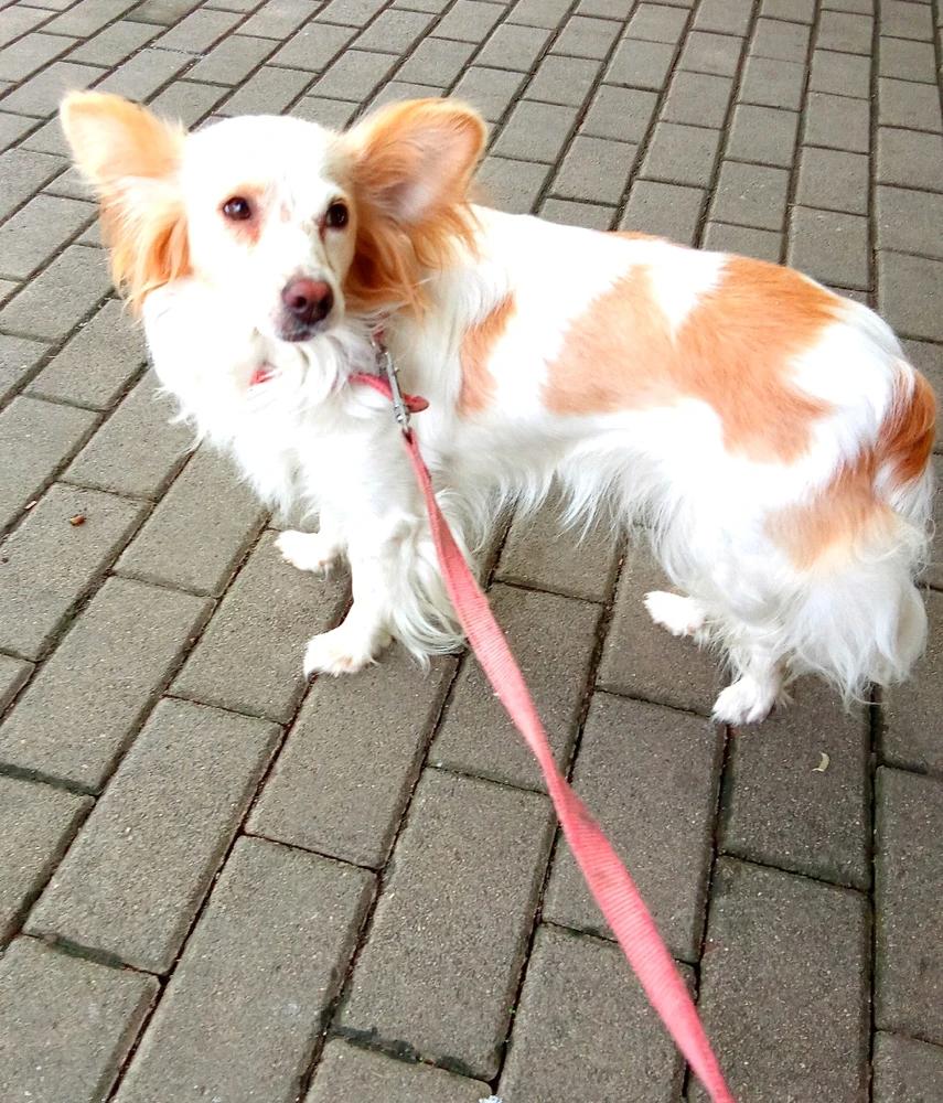 GIF-ը վերբեռնել է მარი