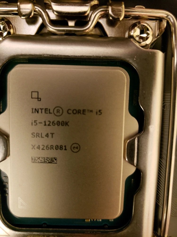 Image uploaded by Brandon