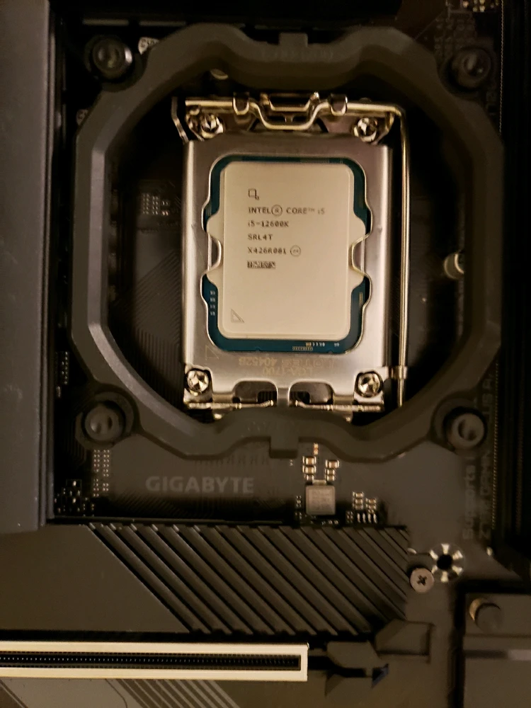 Image uploaded by Brandon