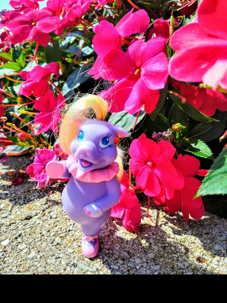 GIF uploaded by Bitsy Bear