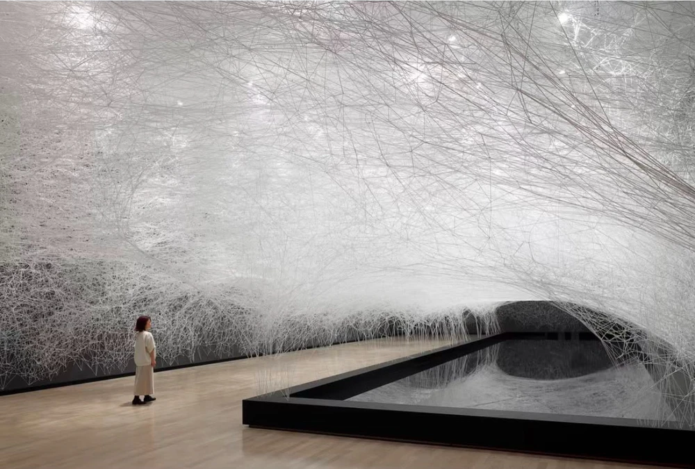 Obrázek nahrál Irónia