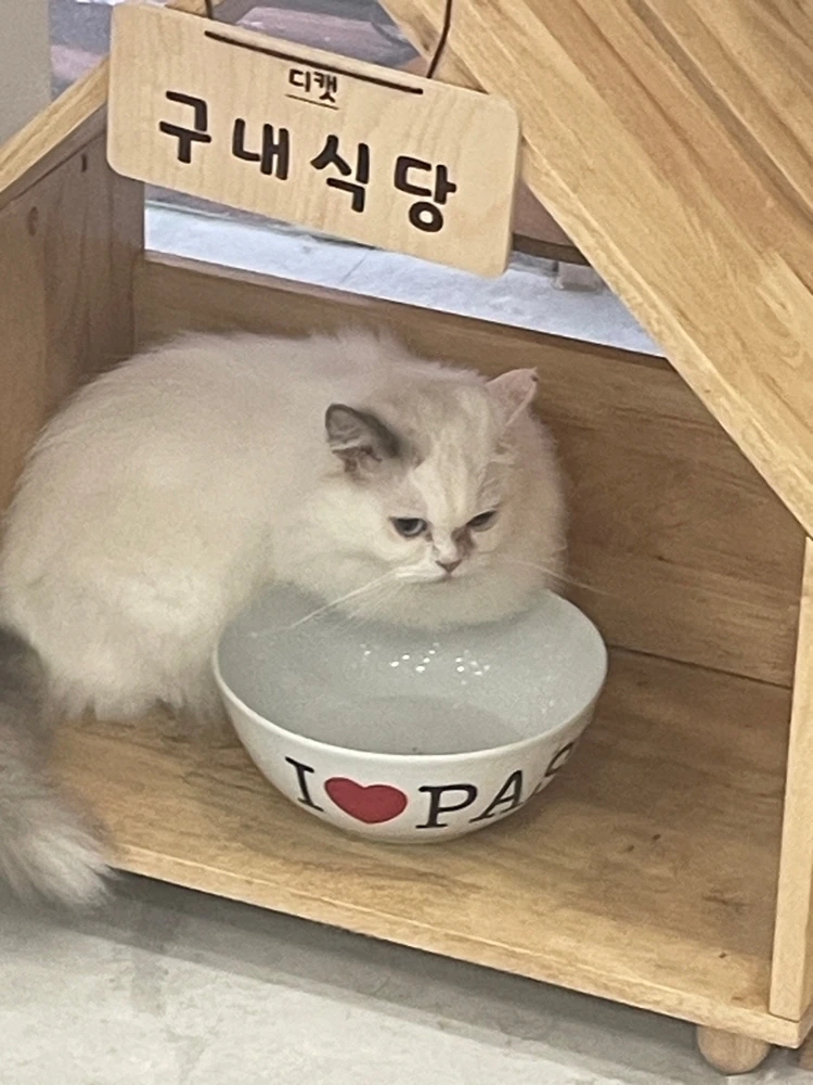 현님이 올린 GIF