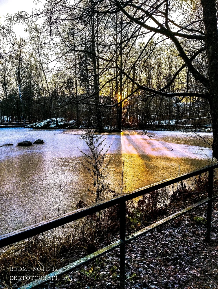Image uploaded by Ksenija Krantz