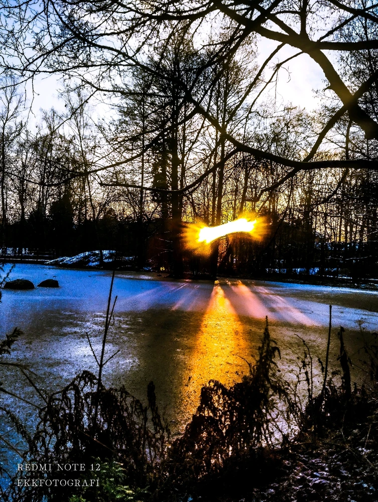 Image uploaded by Ksenija Krantz