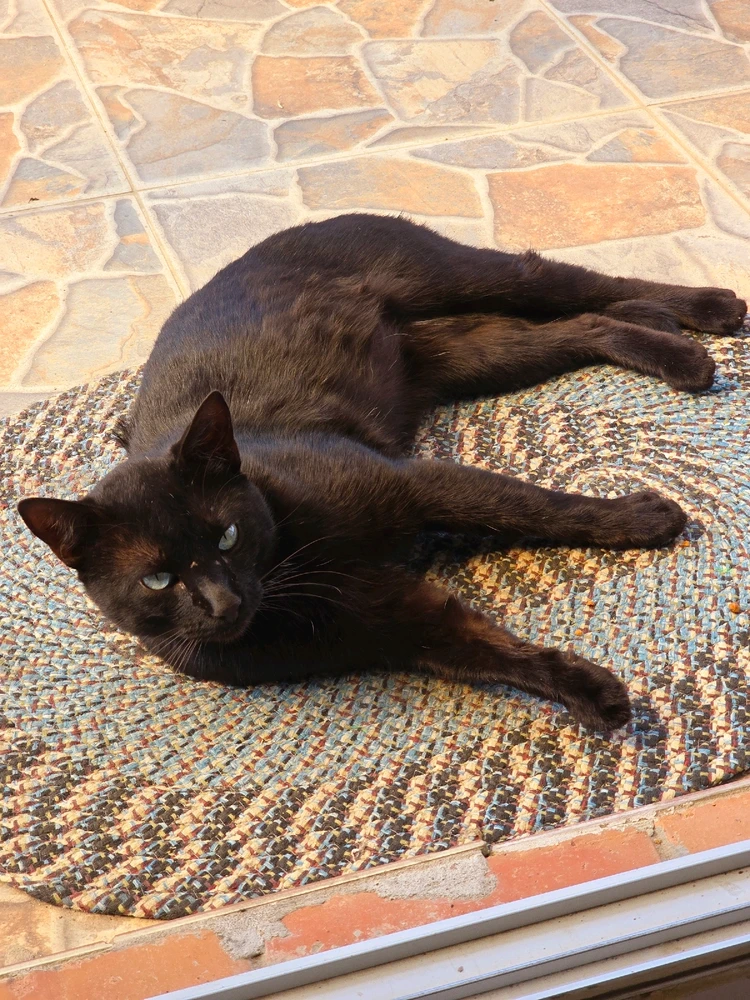 Imagen subida por Jaritza