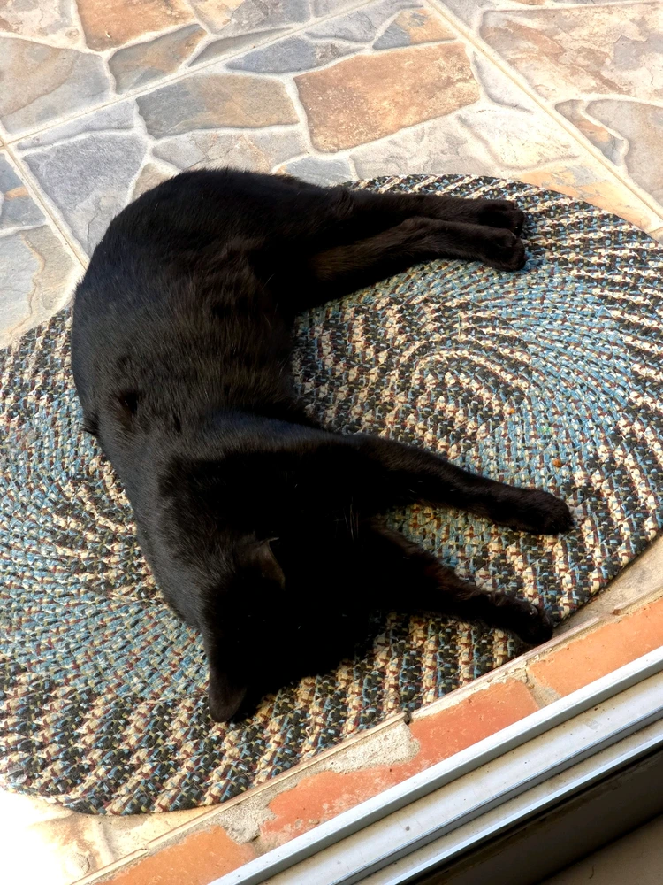 Imagen subida por Jaritza