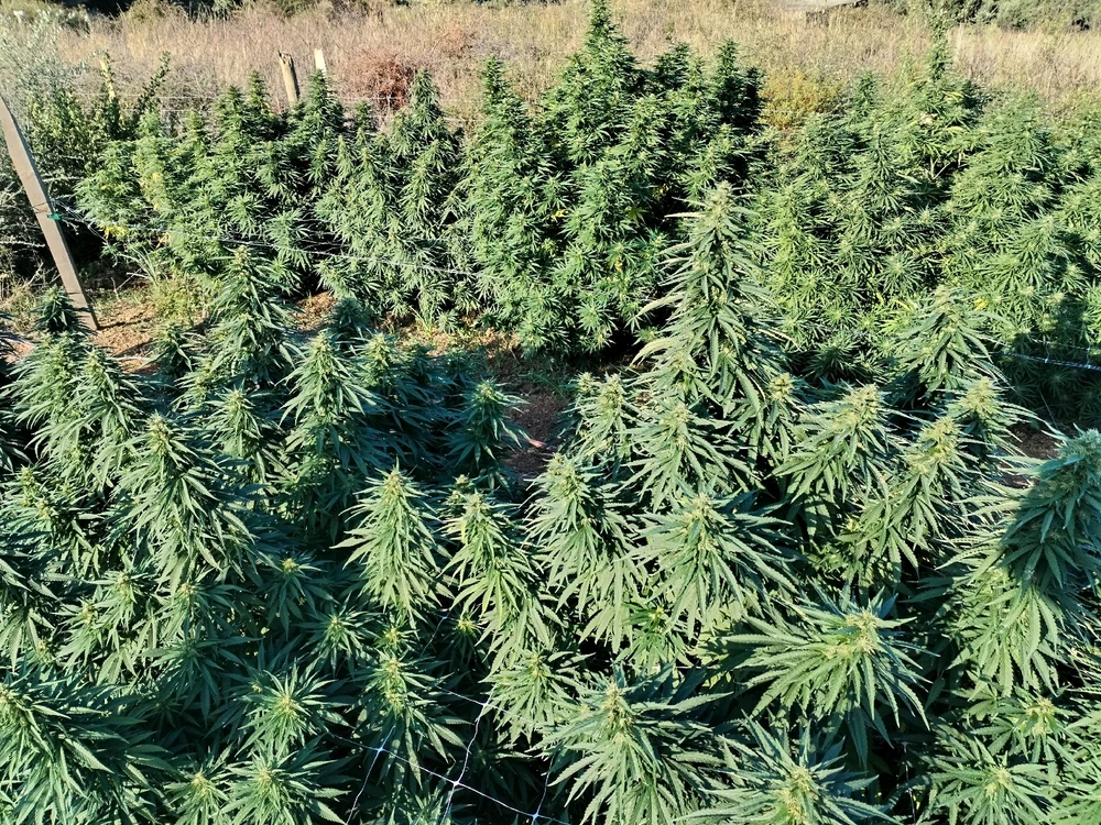 Image ajoutée par Geoffroy