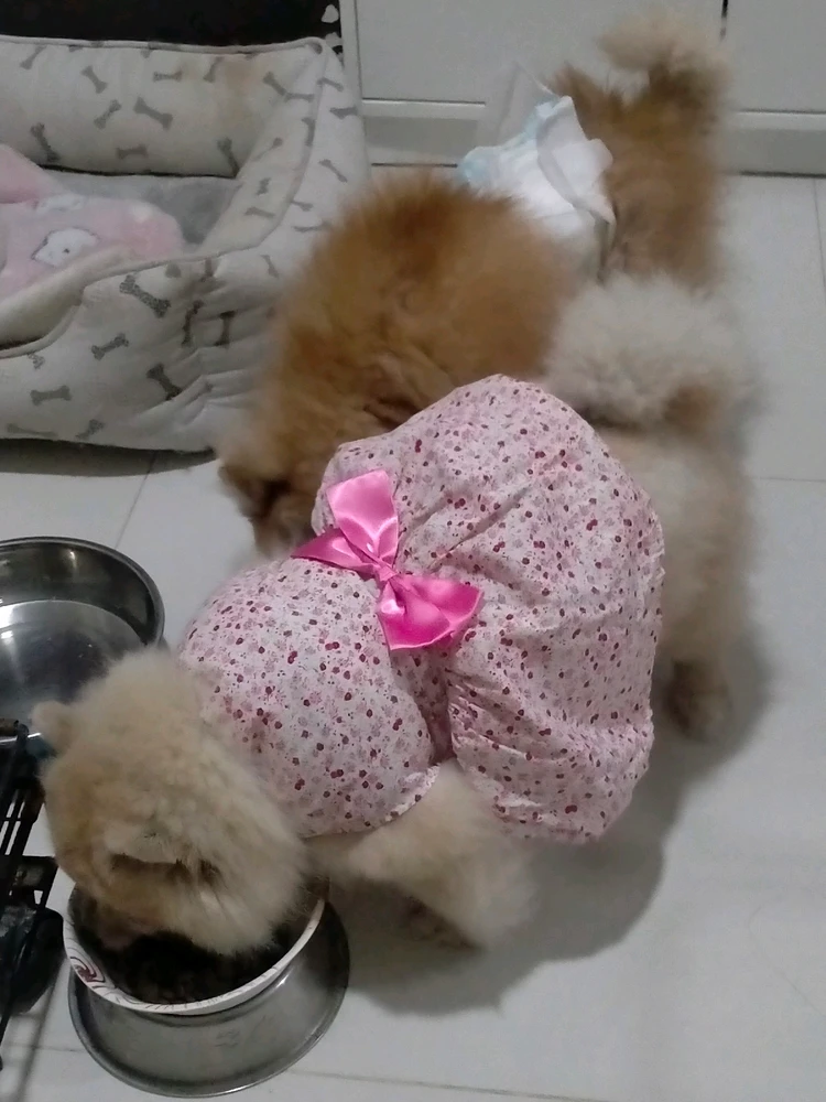 I-upload ni Merida Meron Mionda Ragon ang larawan