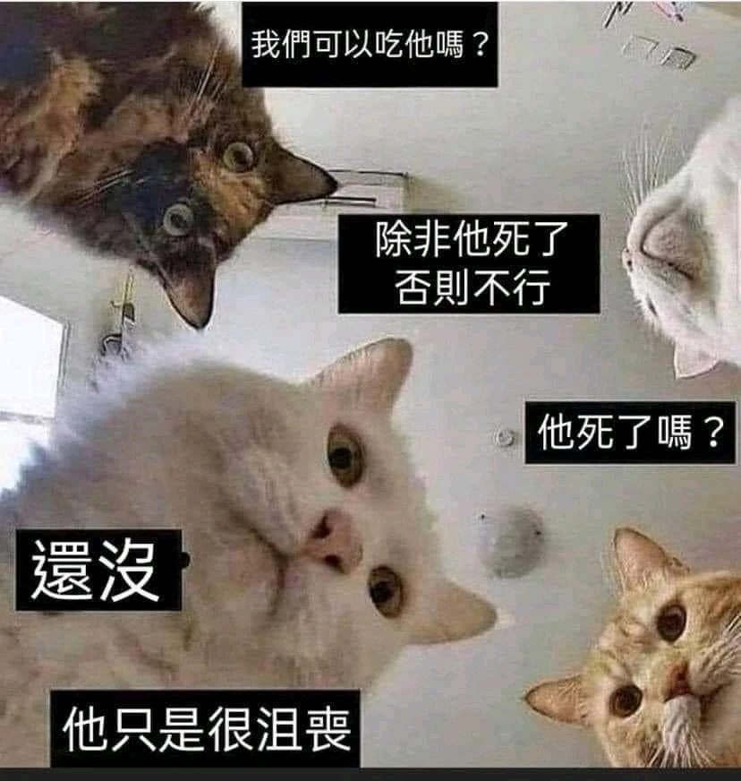 狩野英淳 上傳的 GIF