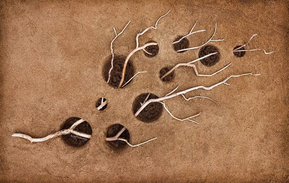 Obrázek nahrál Irónia