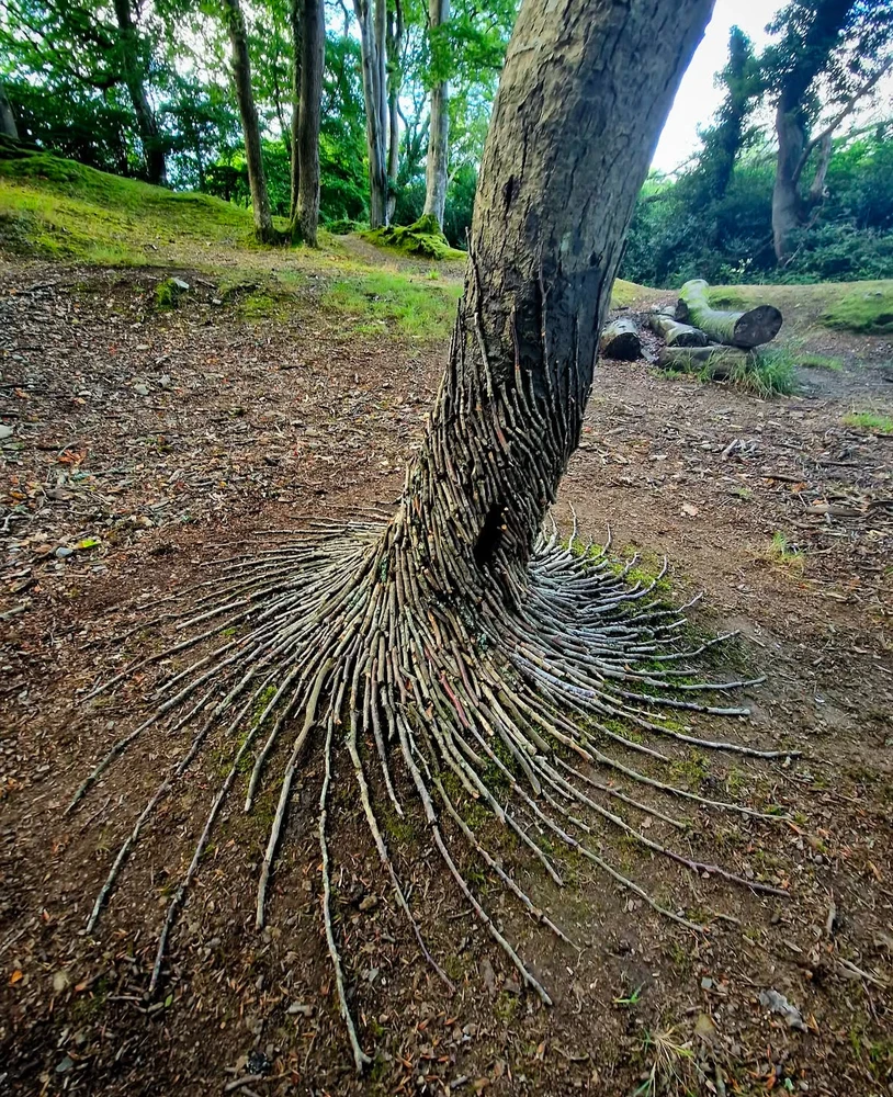 Obrázek nahrál Irónia