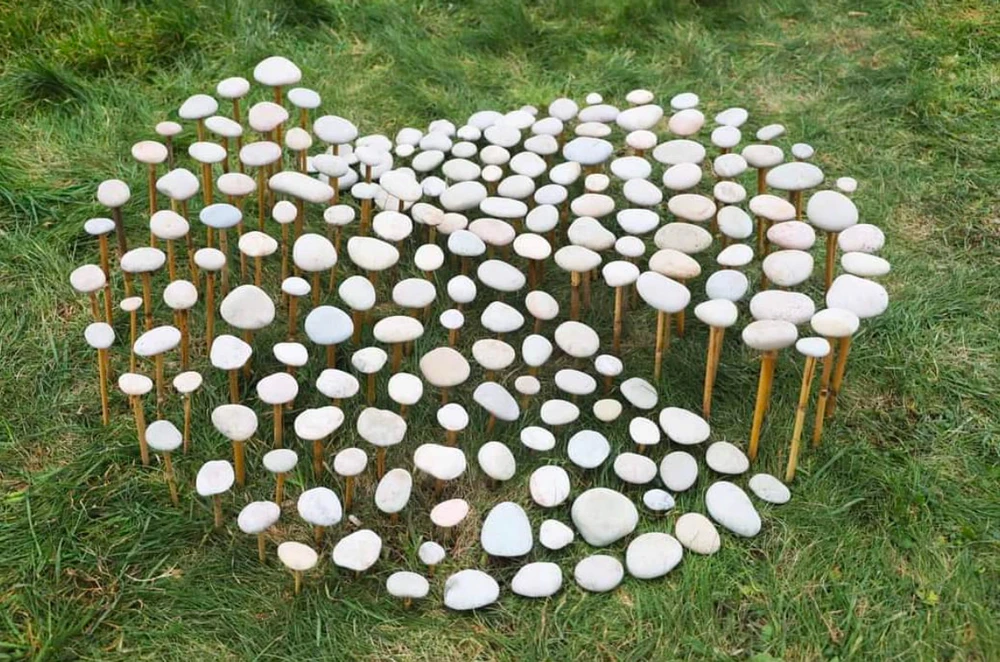 Obrázek nahrál Irónia