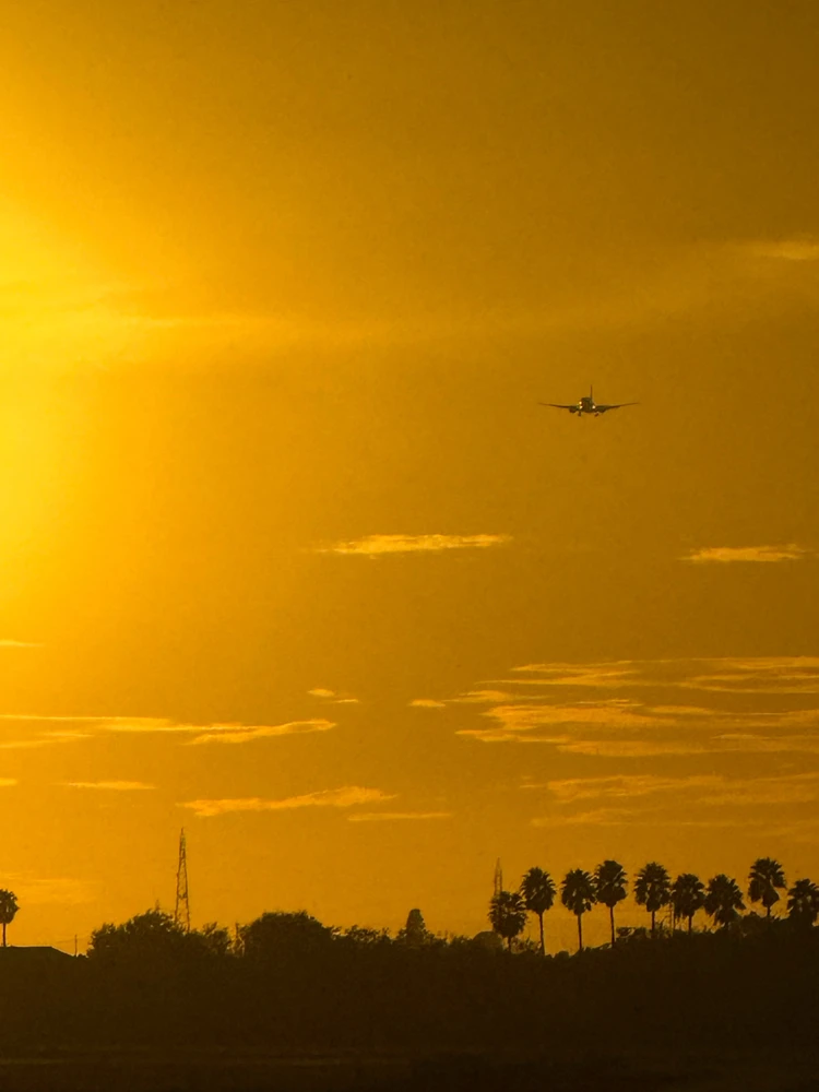 GIF caricata da Davide