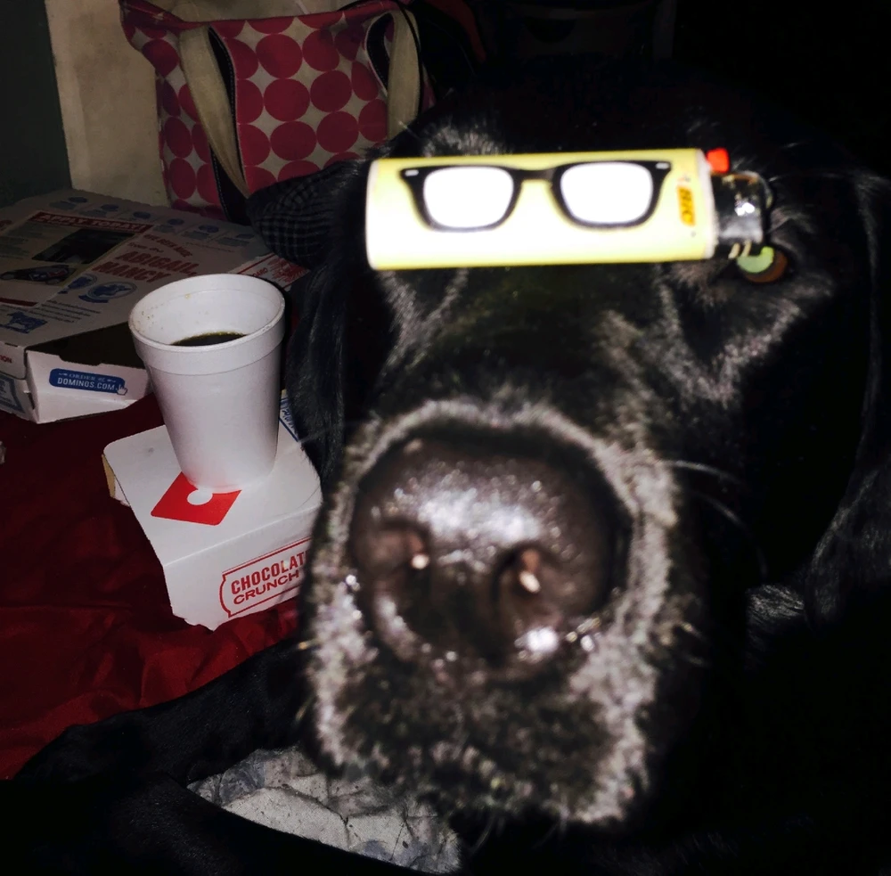 Image uploaded by Timi