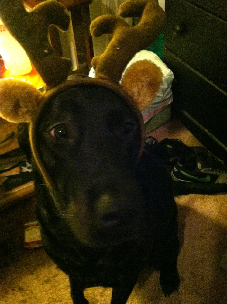 Image uploaded by Timi