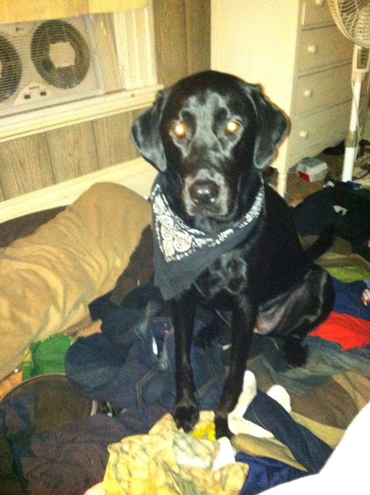 Image uploaded by Timi