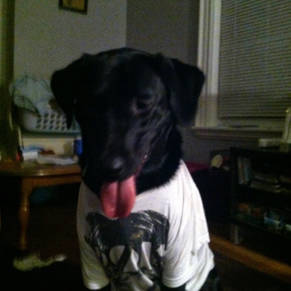 Image uploaded by Timi