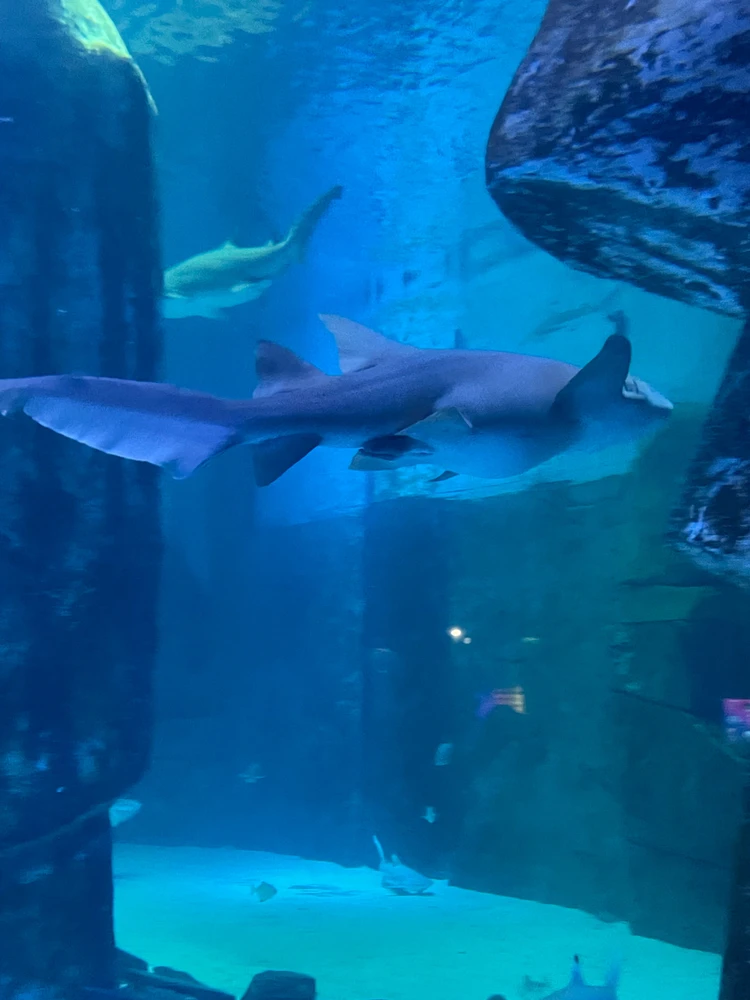 GIF uploaded by Nmnmm