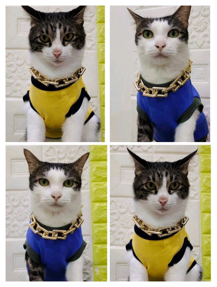 GIF uploaded by Elsie Elle