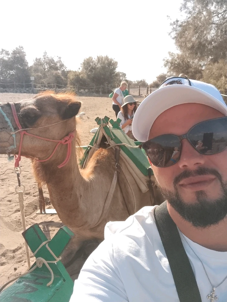 GIF hochgeladen von Pedro Richard Rivas