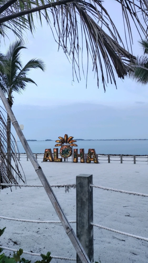 GIF uploaded by Mako