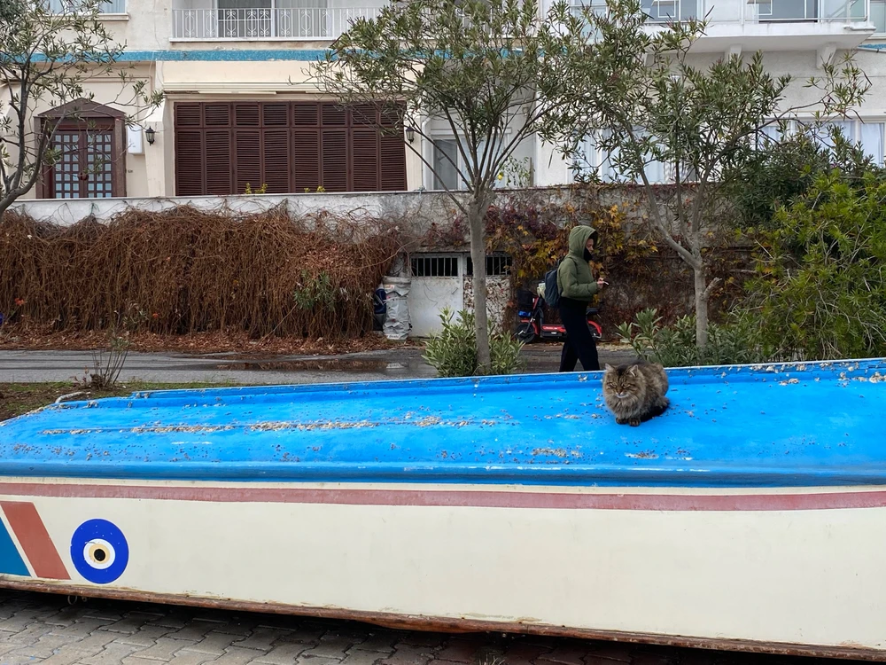 İpek tarafından yüklenen görsel