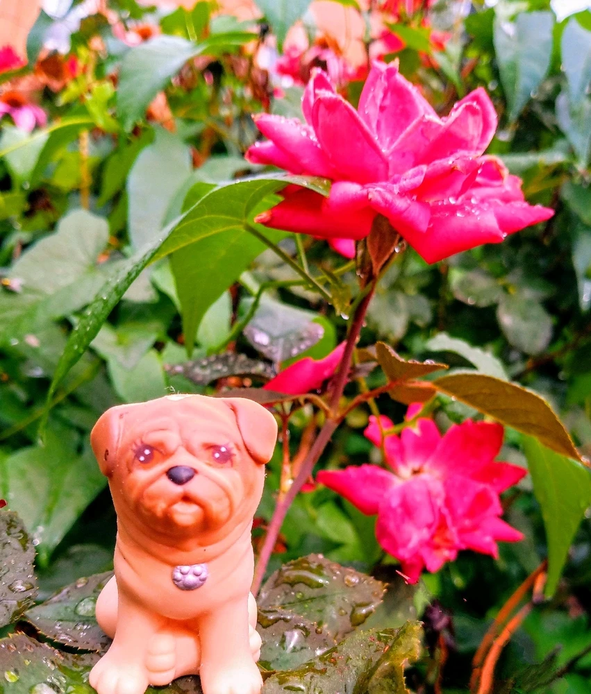 GIF uploaded by Bitsy Bear