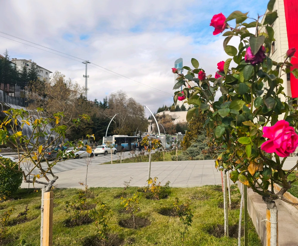 Obrázek nahrál 🧿