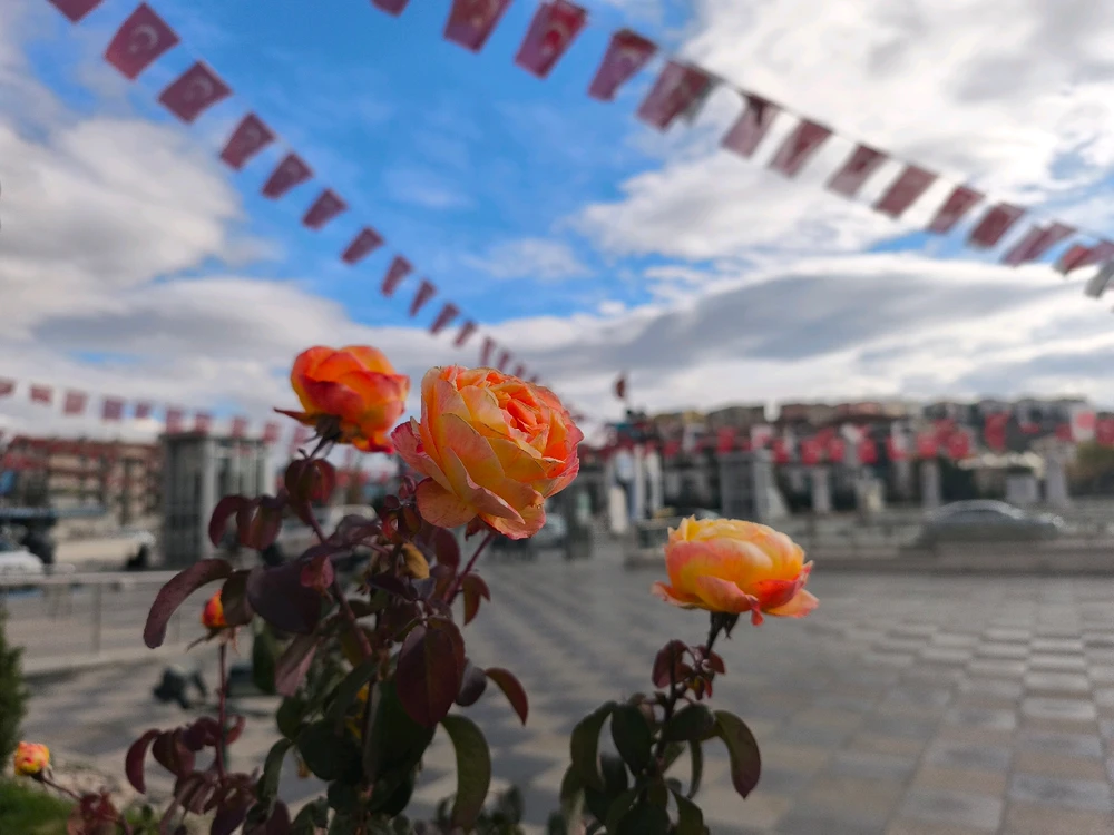 Obrázek nahrál 🧿