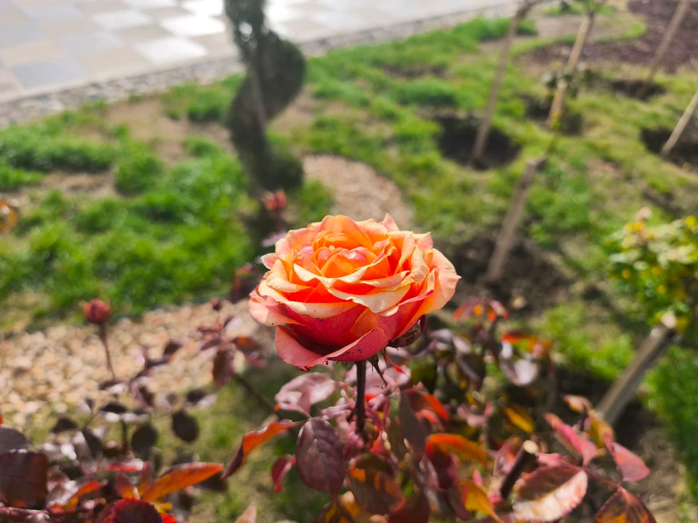 Obrázek nahrál 🧿