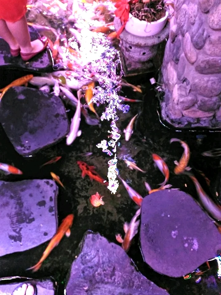 Image uploaded by Jerox