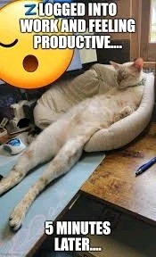 GIF uploaded by ❤ Sophia aka Mango Mami ❤️