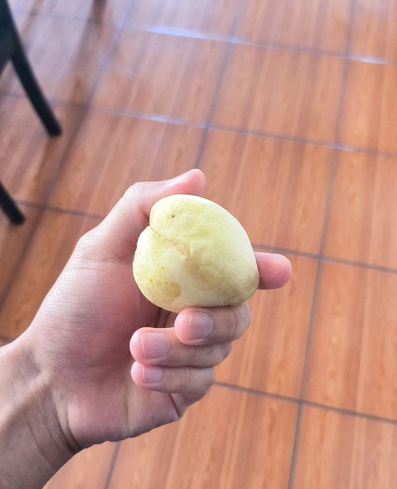 Leonardo上傳的圖片