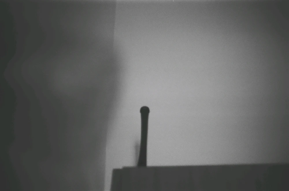 Immagine caricata da Alessandro | alpacigno