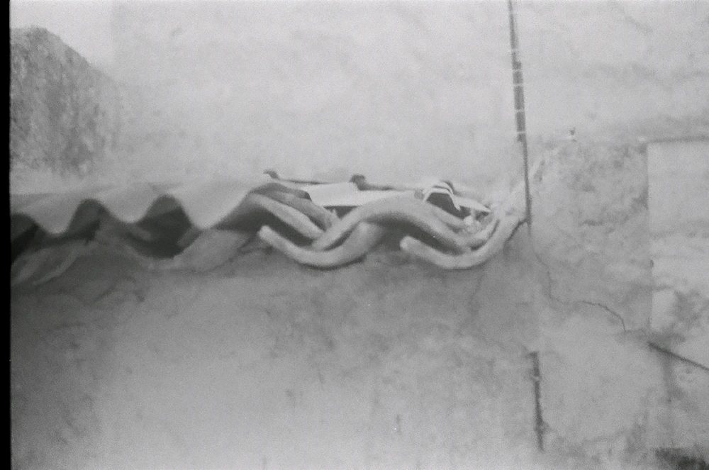 Immagine caricata da Alessandro | alpacigno