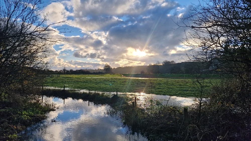 GIF uploaded by Marley