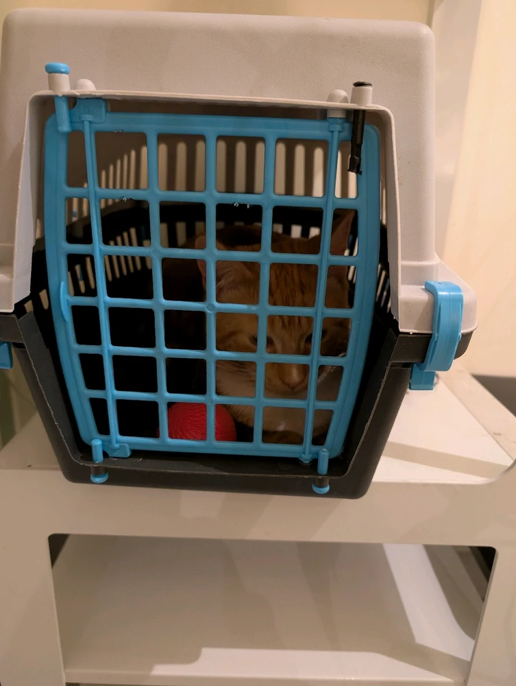 GIF uppladdad av Robin