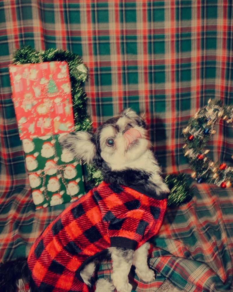 Image uploaded by Rachel