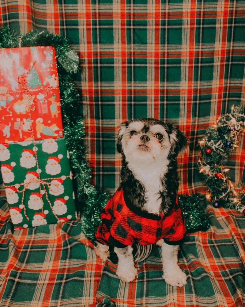 Image uploaded by Rachel