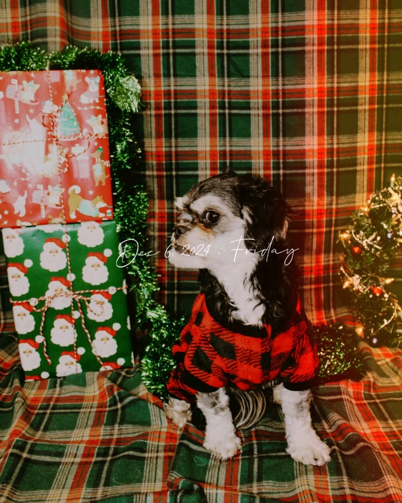 Image uploaded by Rachel