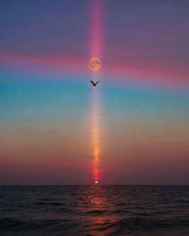 GIF uploaded by Liza