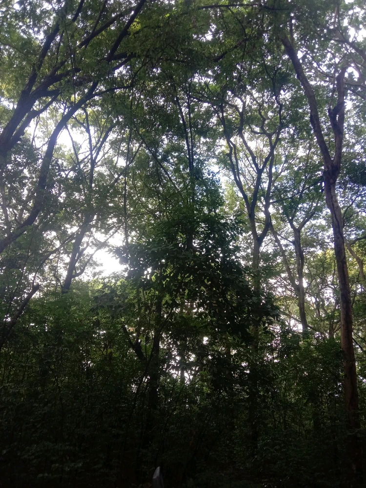 GIF diunggah oleh opik