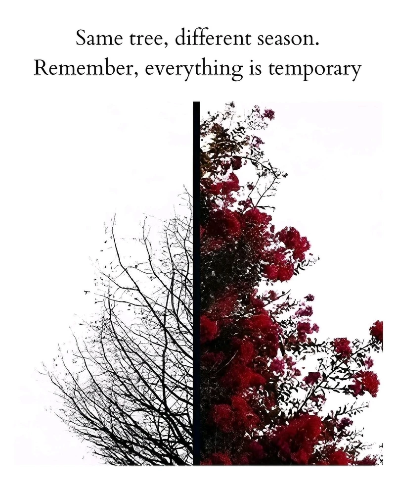 GIF uploaded by iZac