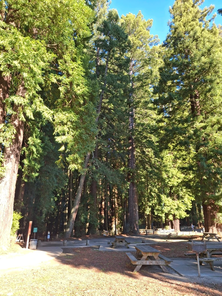 Gi-upload ni Benjiggity ang hulagway