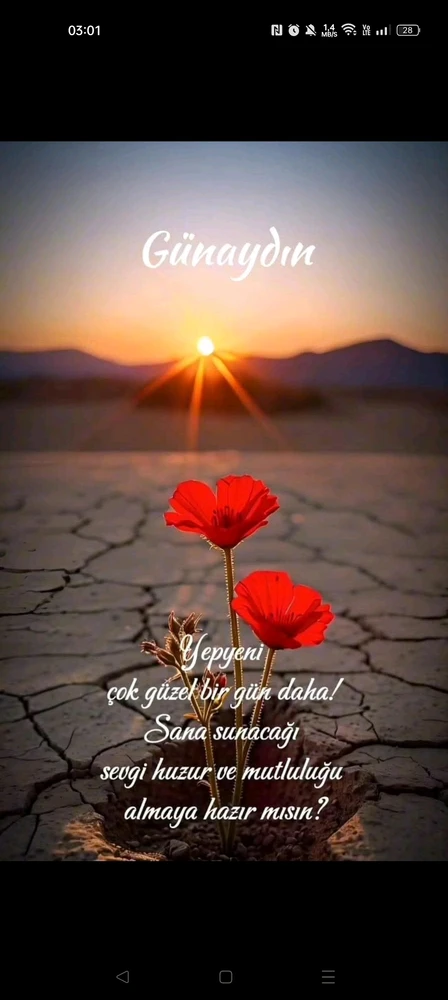 Sergüzeşt tarafından yüklenen GIF