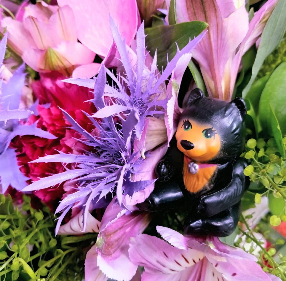 GIF uploaded by Bitsy Bear