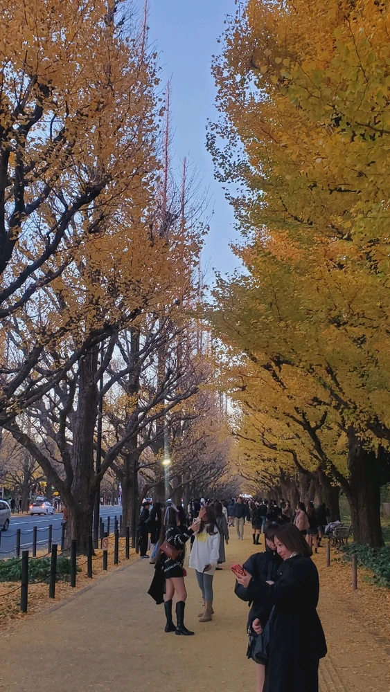 GIF uploaded by Grayson