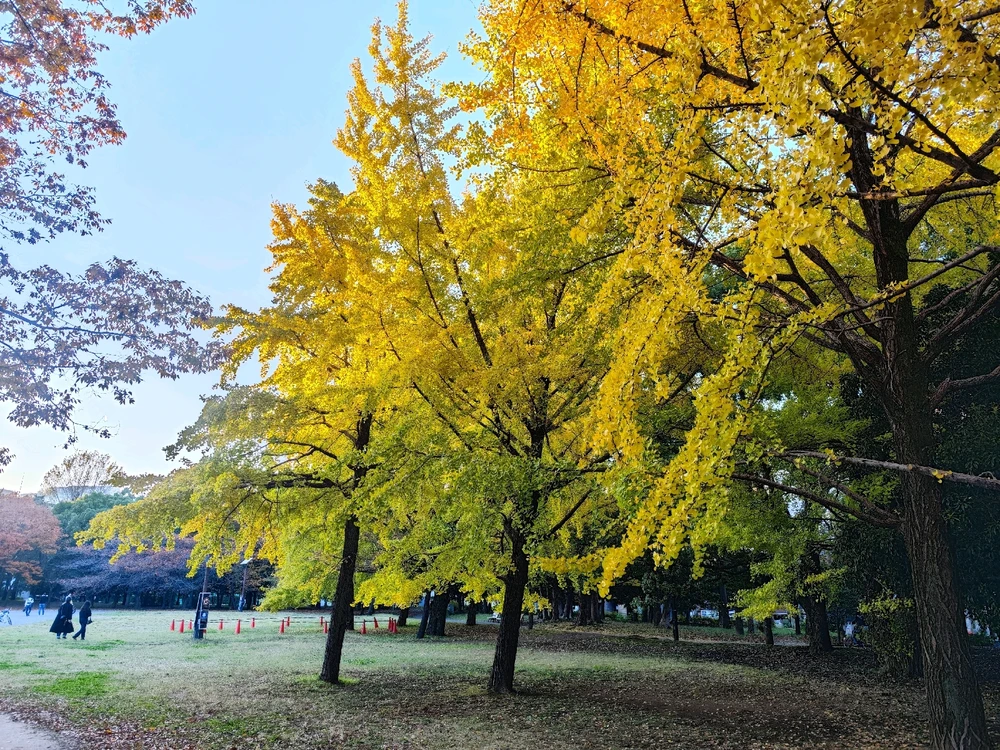 Kotaroがアップロードした画像