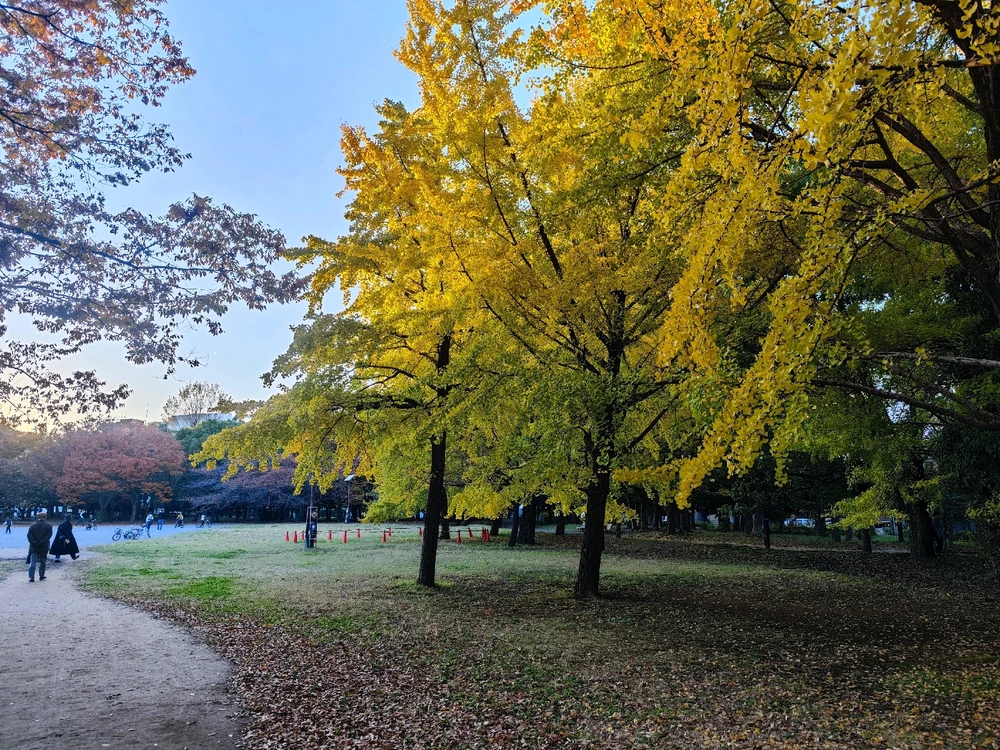 Kotaroがアップロードした画像