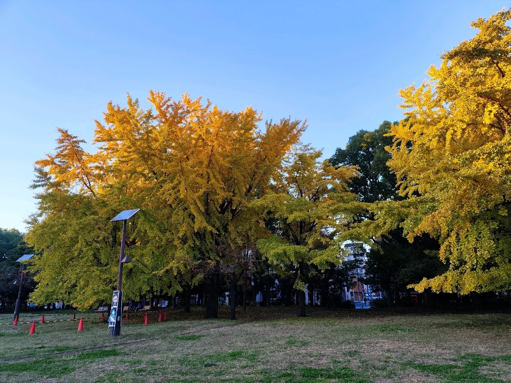 Kotaroがアップロードした画像